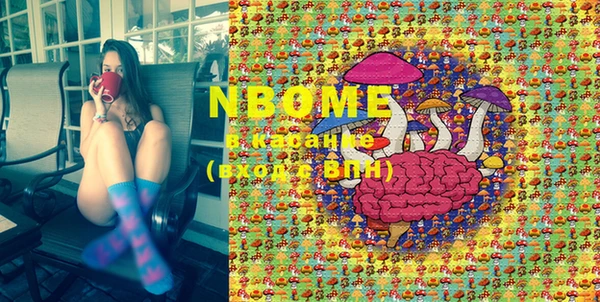 mdpv Краснослободск